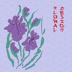 Vector iris. Hand-drawing illustration.