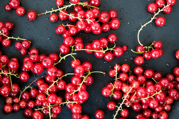 Red ripe currants on a dark background. Droplets of water.