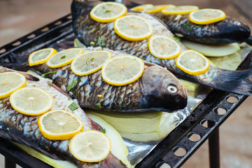 Fresh uncooked fish with lemon lie on metal baking tray. Big raw river fish before baking