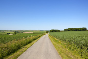 summer country road