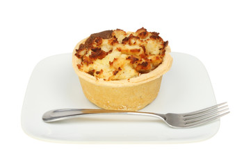 Meat pie and a fork on a plate