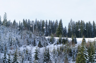 Cable car over the forest in a ski resort in the winter in the Carpathians