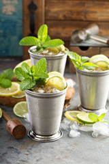 Classic mint julep cocktail