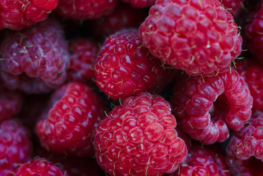 Sweet fresh organic raspberries background closeup, selective focus, free space. Macro photo. Natural berry background