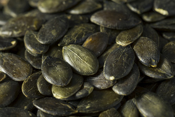 Dry Salted Organic Pepita Pumpkin Seeds