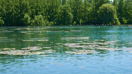 Lake and resort in Heviz - it is the largest natural geothermal lake in Europe. Very popular among the nymphs, the Europeans and among the patients of sanatoria - the patients.
