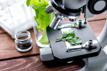 concept healthy food inspection herbs in laboratory