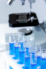 laboratory work with microscope top view