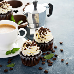 Chocolate cupcakes with vanilla frosting