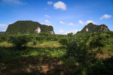 Landscape in thailand 