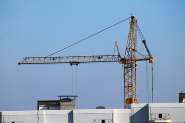 crane