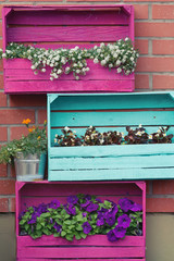 Bright colored wooden boxes with flowers. European exterior design.
