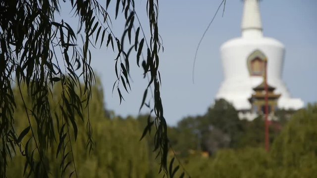 BeiJing BeiHai Park White Tower&Tibetan Buddhism.willow branches in breeze wind.