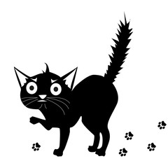 Frightened Cat. Frightened cartoon black cat. angry cat