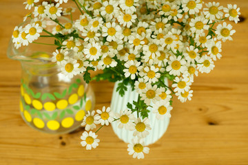 chamomile bouquet on a table