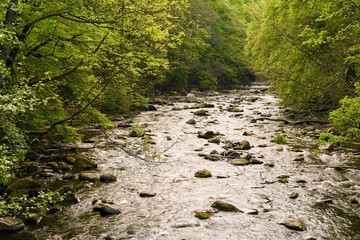 Der Fluss Bode bei Thale im Nationalpark Harz