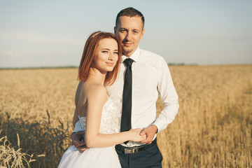 Gorgeous bride and groom in wheat field. Happiness and marriage