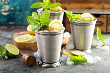 Classic Mint Julep Cocktail