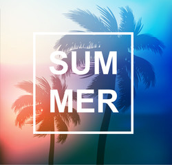 Summer tropical background with palms, sky and sunset