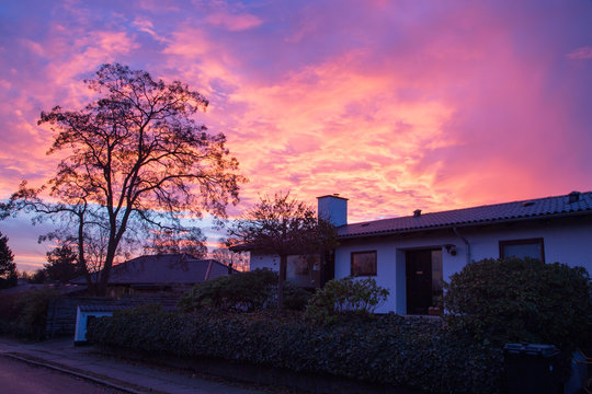 Burning sunrise behind tree profile in Virum, Denmark 