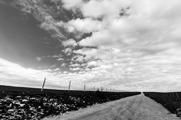 An endless country road under big sky and white clouds