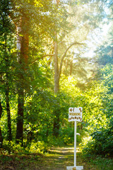 Wooden sign pointing to the wedding ceremony in the forest. Background green forest