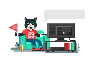 Funny cat is a football fan, yell, watch TV, and drink beer