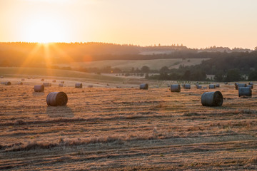 Sunrise on Oregon Hay Field