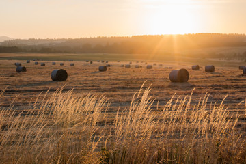 Sunrise over harvest hay field - obrazy, fototapety, plakaty