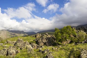 Горный пейзаж. Высокие скалы в живописном ущелье, красивый вид на горы. Дикая природа Северного Кавказа