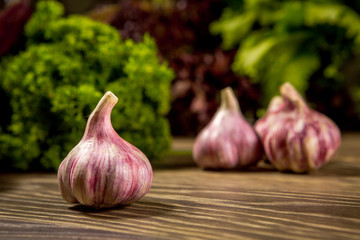 Garlic on a background of lettuce and parsley leaves on a table