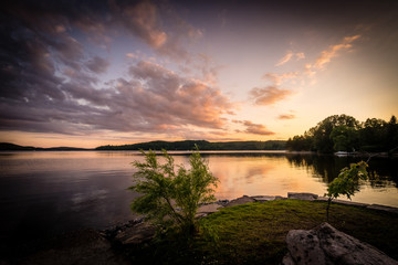 wildlife sunset