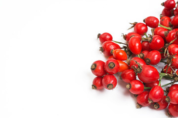 bunch of fresh dog rose on white background. Different types Rosa canina hips - selective focus....