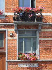 Fototapeta na wymiar Brüssel: begrünte Altbaufassade mit Balkon