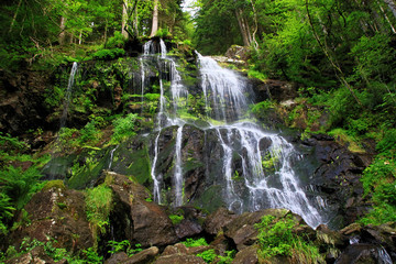 Waterfall in the Black Forest in Germany