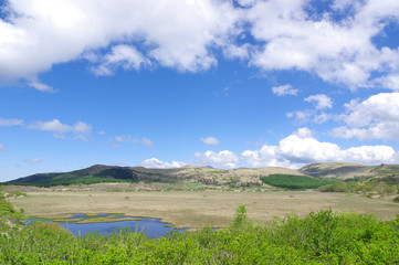 八島湿原