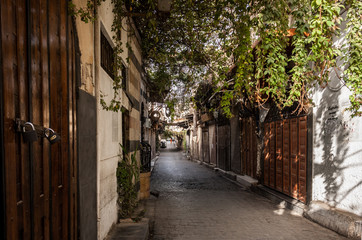 Old Damascus