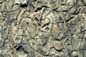 海辺の岩の模様