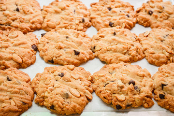 Chocolate chip cookies.