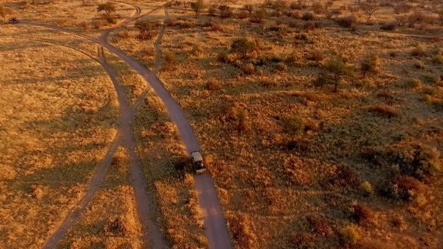 A hunting car rides in the evening on a safari.