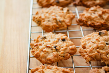 Chocolate chip cookies.