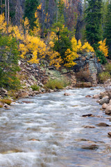 Forest and stream with fall colored trees