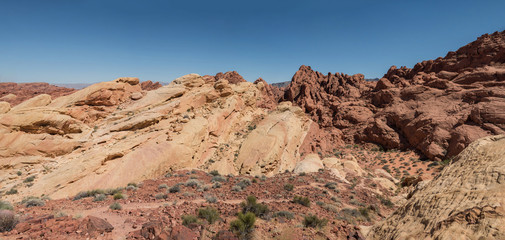 Red rocks in the desert panoramic