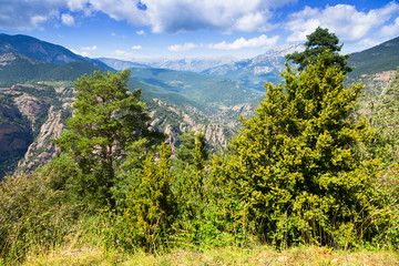   mountains landscape in august day