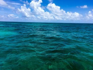 Fototapeta premium crystal clear ocean water in the Florida Keys