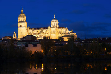  Cathedral of Salamanca in night time
