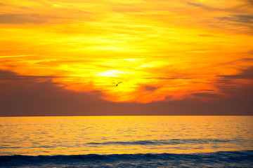 Sunset on the beach
