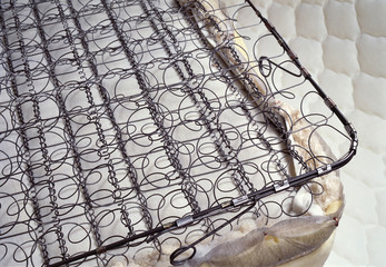Internal view of mattress springs