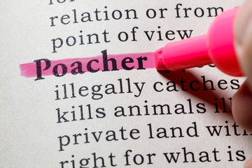 definition of poacher