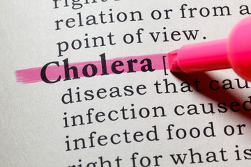 definition of cholera